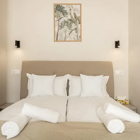 Csokonai Apartamento